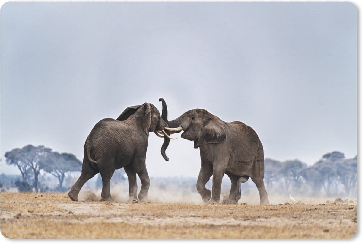 Muismat XXL 90x60 cm - Bureau onderlegger - Bureau mat Olifant - Dieren - Vlakte - Natuur - Bureaumat - Gaming mousepad xl - Bureaulegger groot - Computer deskmat