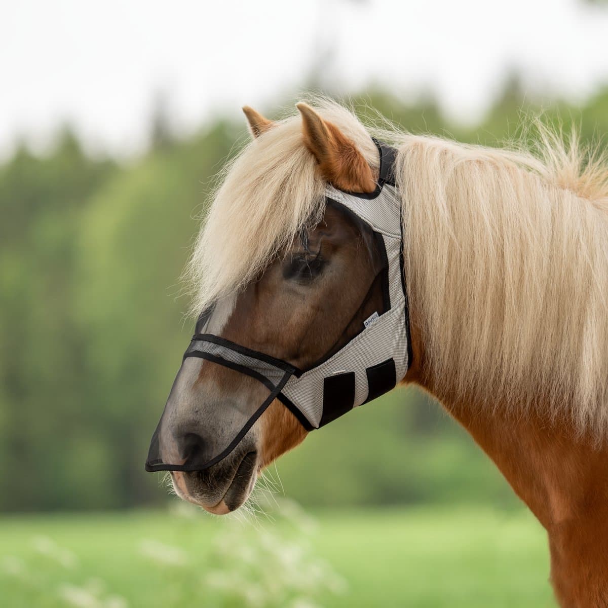 Busse Vliegenmasker Fly Guard Free Plus-Light Grey-Cob