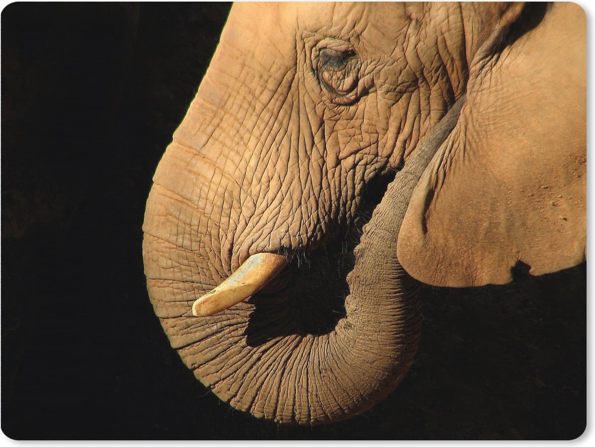 Muismat XXL 80x60 cm - Bureau onderlegger - Bureau mat Olifant - Dieren - Close up - Zwart - Bureaumat - Gaming mousepad xl - Bureaulegger groot - Computer deskmat