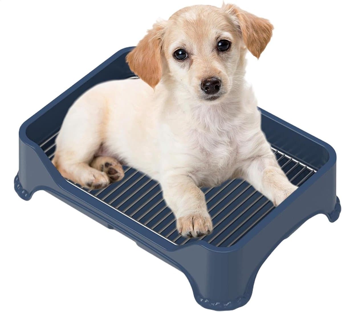 Honden trainingsmat - Hondentoilet Puppytoilet - Binnen Zindelijk Maken - Roestvrij Staal - 52x36x14 cm - Zilver