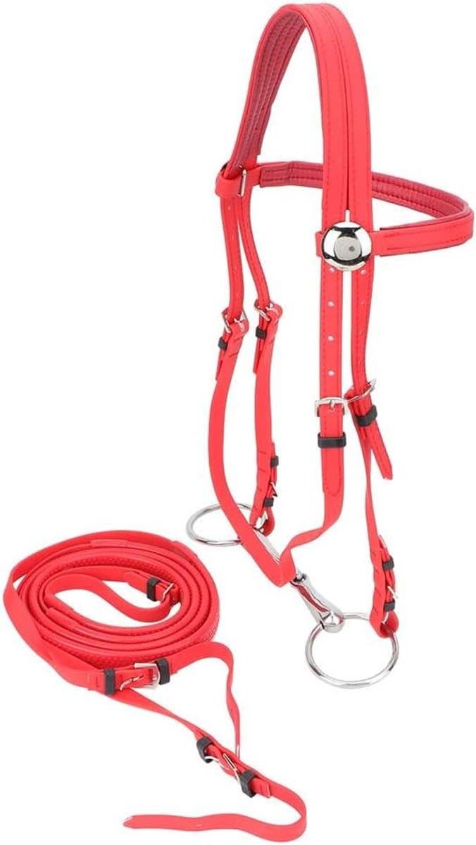 Paardenhoofdstel - Hoofdstel Teugelharnas - Paardrijden Training - Waterbestendig PVC - 13-17 Meter - Rood