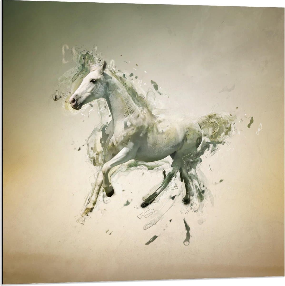 Dibond - Galopperend Paard met Lijntjes  - 80x80cm Foto op Aluminium (Met Ophangsysteem)
