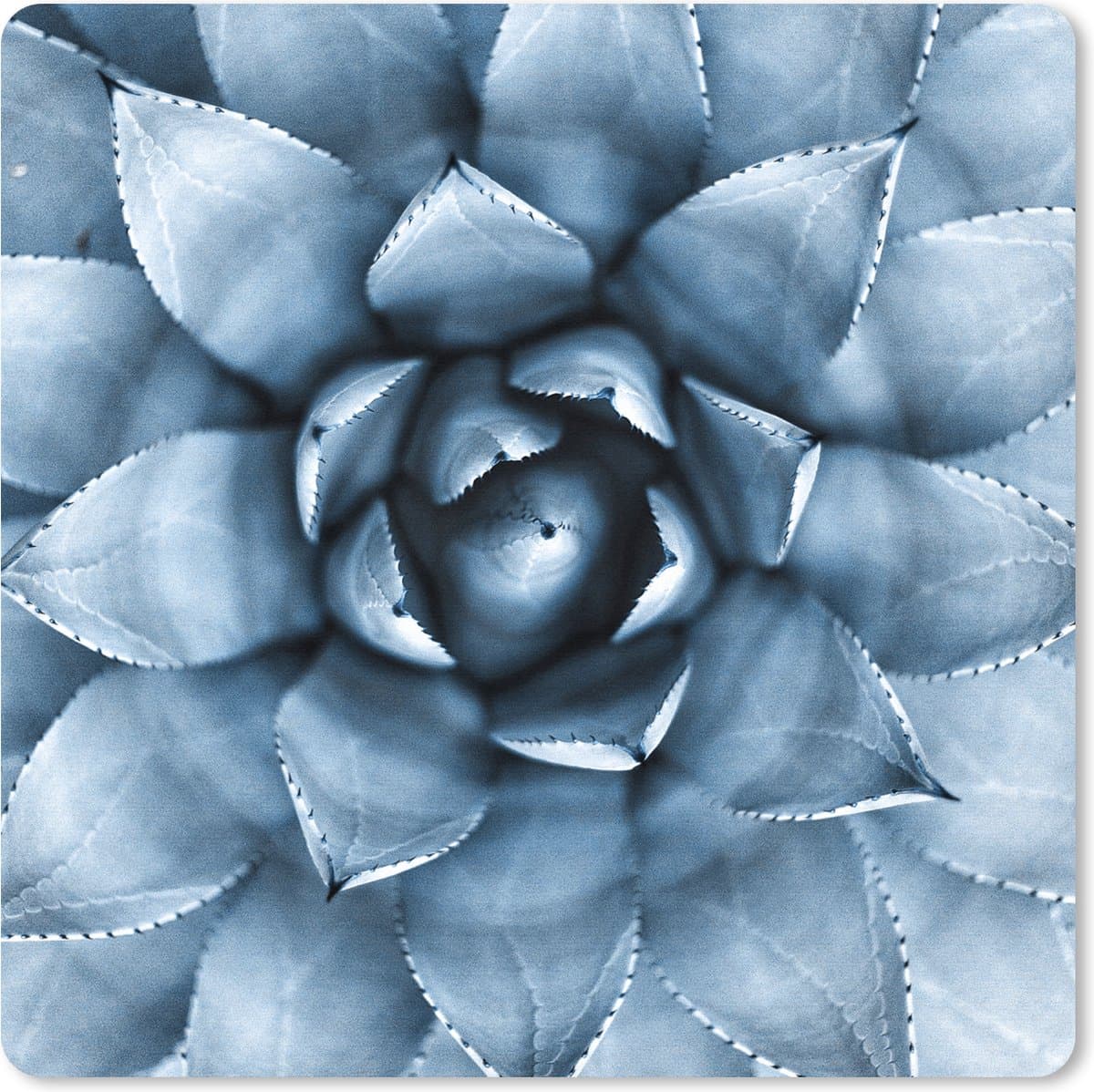 Muismat XXL 40x40 cm - Bureau onderlegger - Bureau mat Planten - Blauw - Natuur - Bureaumat - Gaming mousepad xl - Bureaulegger groot - Computer deskmat