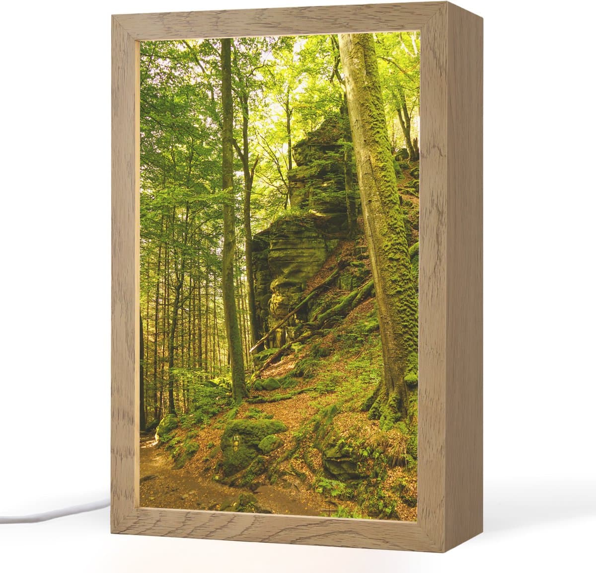 Tafellamp 20x30 cm - LED lamp - Bomen - Steen - Bos - Natuur - Planten - Decoratieve tafellampen - Dimbaar - Tafellampje slaapkamer - Woonkamer binnen