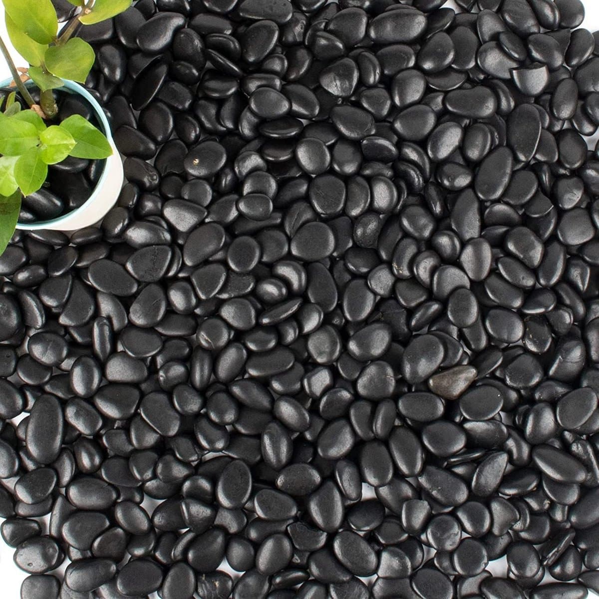 Gepolijste Kiezelstenen - Decoratieve Stenen - Tuin Decoratie - Plat Oppervlak - 1 kg - Zwart