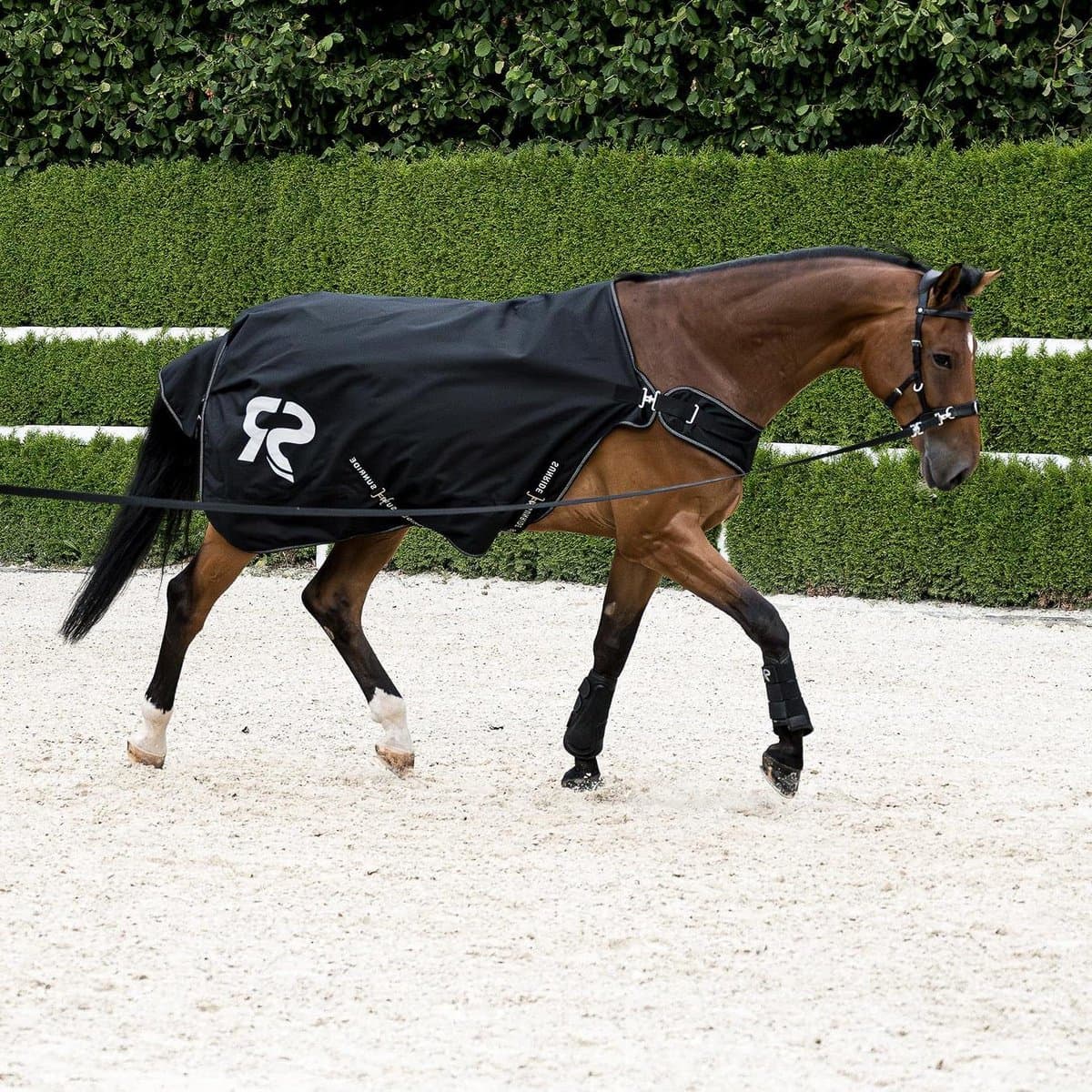 Stapmolendeken Paard - Longeerdeken 0g - Bescherming Outdoor - 100% Waterdicht - 125 cm - Zwart