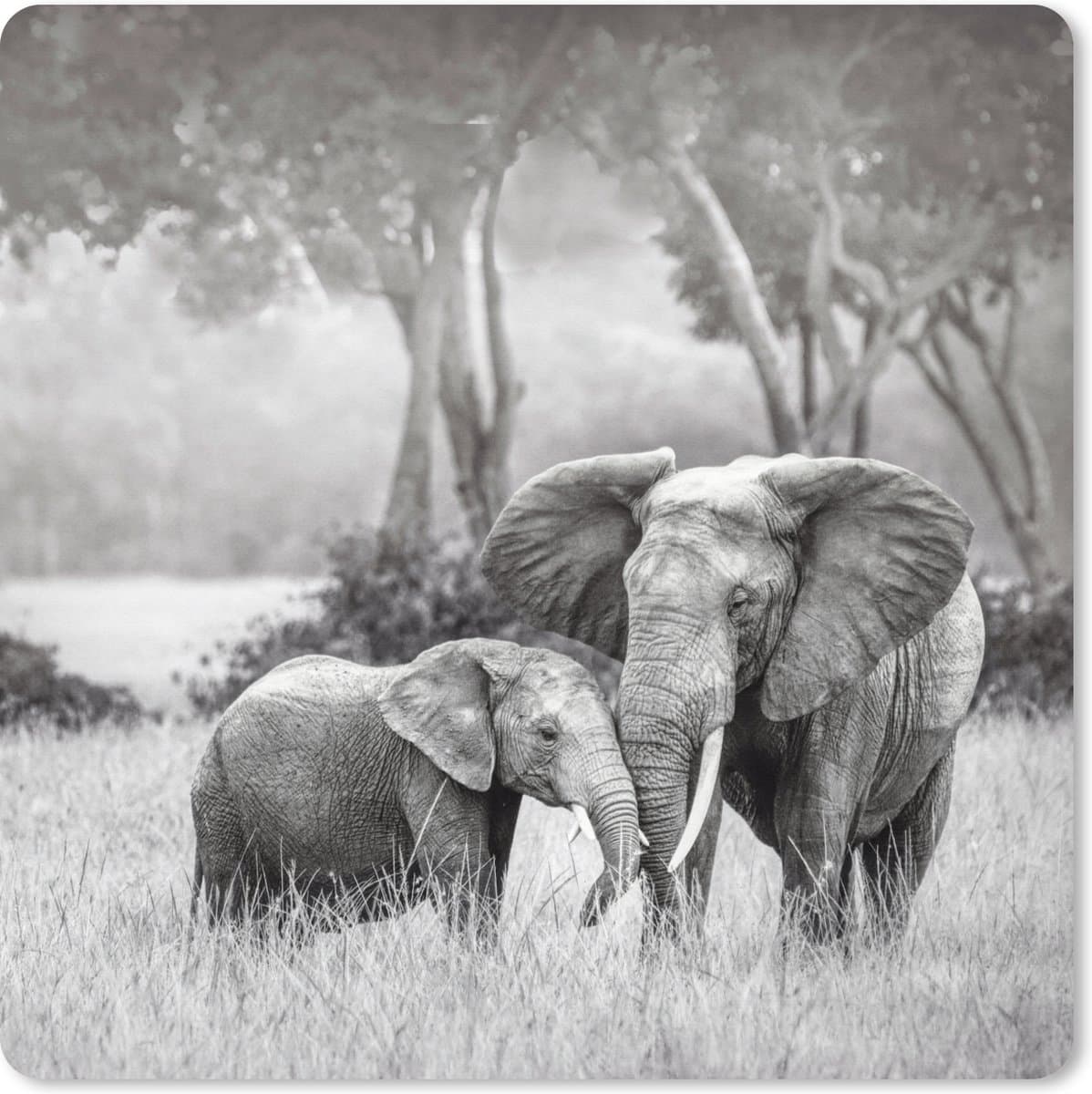 Muismat XXL 60x60 cm - Bureau onderlegger - Bureau mat Olifant - Dieren - Natuur - Zwart wit - Bureaumat - Gaming mousepad xl - Bureaulegger groot - Computer deskmat