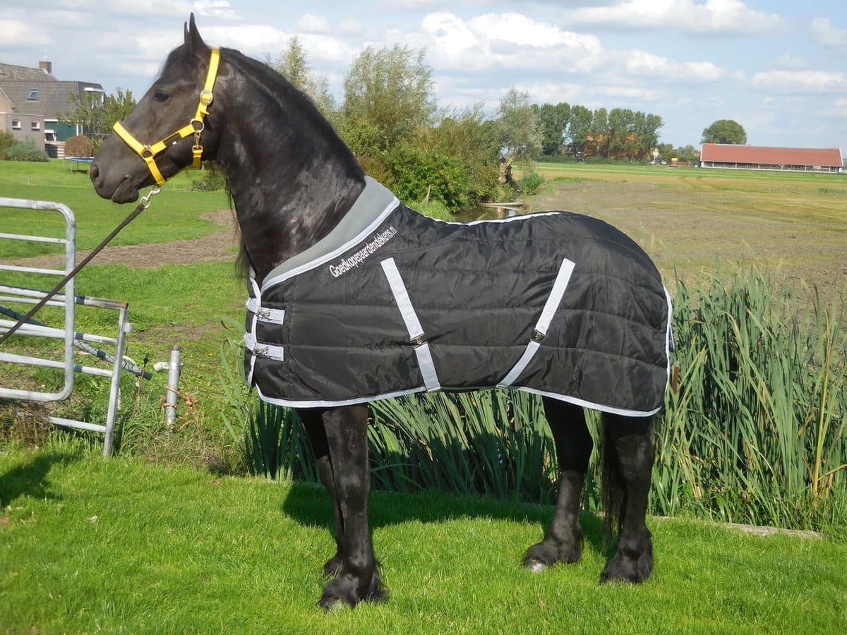 Staldeken luxe met fleecekraag (300gr) goedkopepaardendekens zwart met grijs  - maat 175