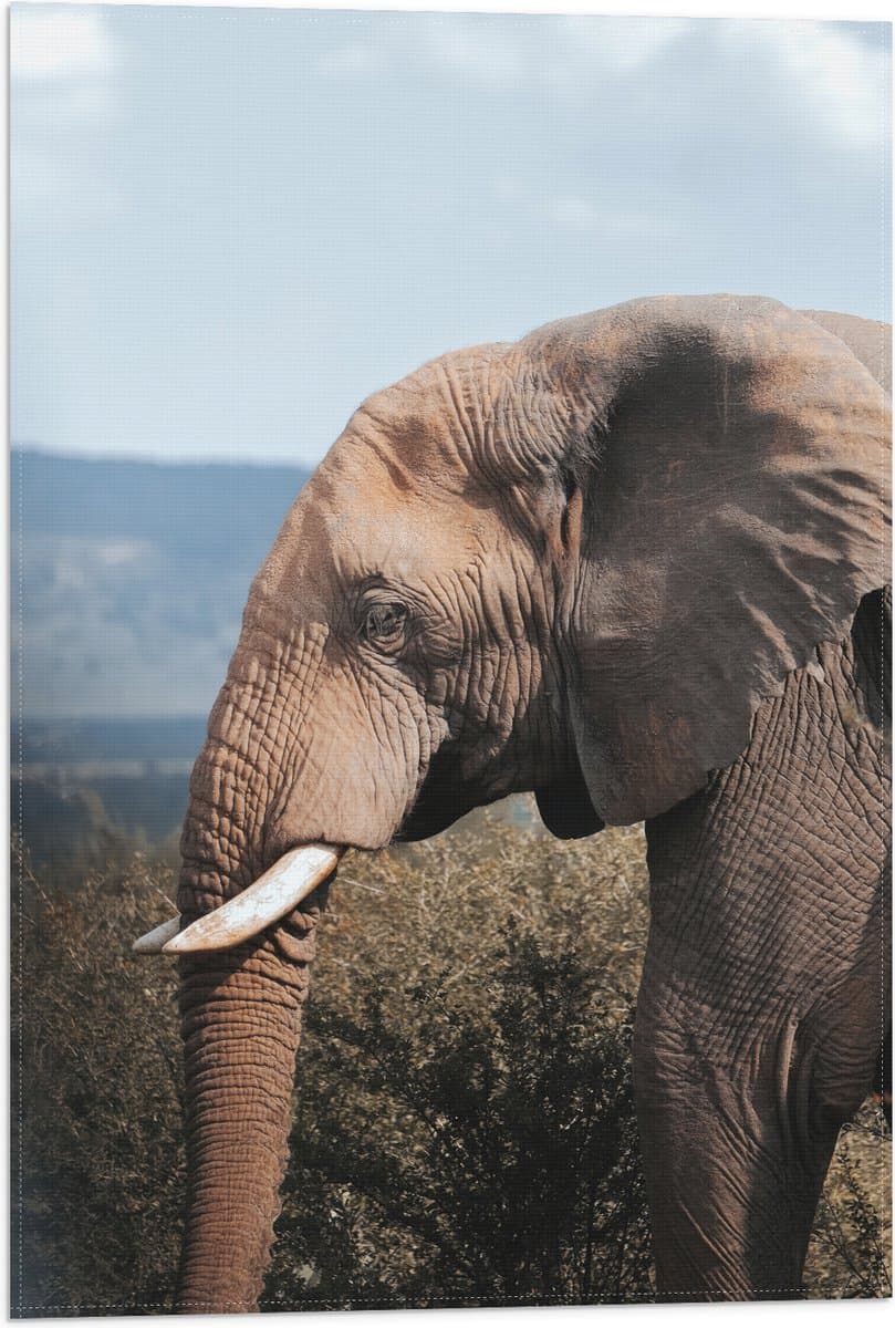 Vlag - Zijaanzicht van Grote Olifant bij Struiken in Berglandschap - 40x60 cm Foto op Polyester Vlag