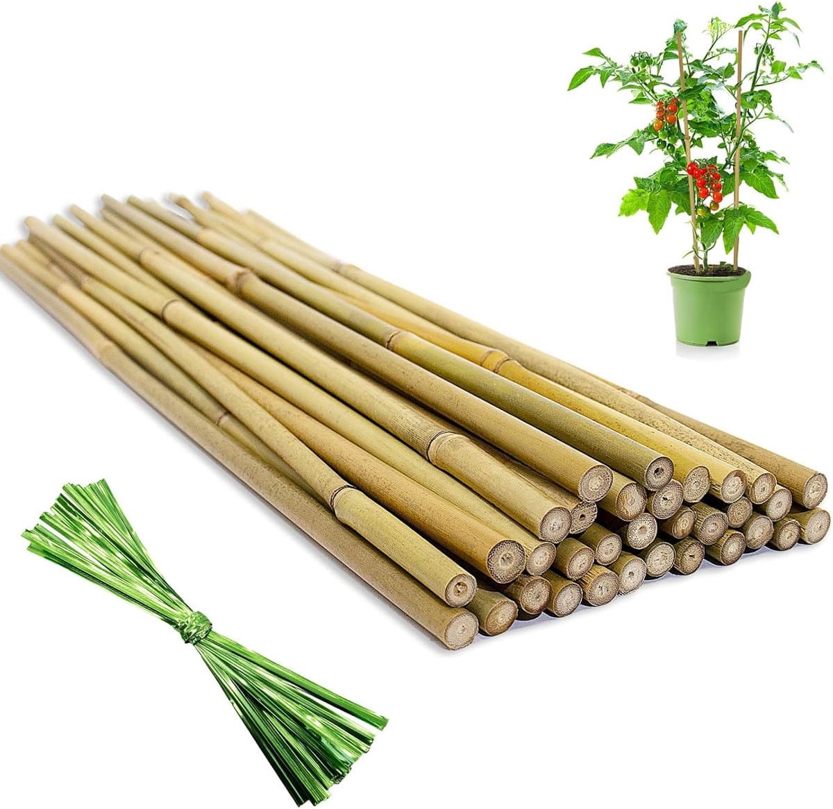 32 stuks bamboe plantenstokken 45 cm met draadstrips voor tomaten, bonen, bloemen en klimplanten binnen en buiten