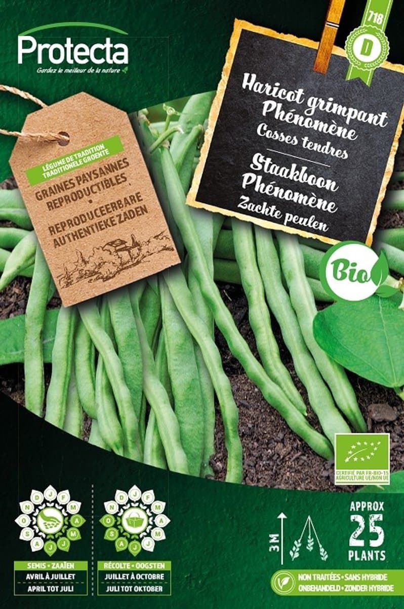 Protecta Groente zaden: Staakboon Phénomène Biologisch