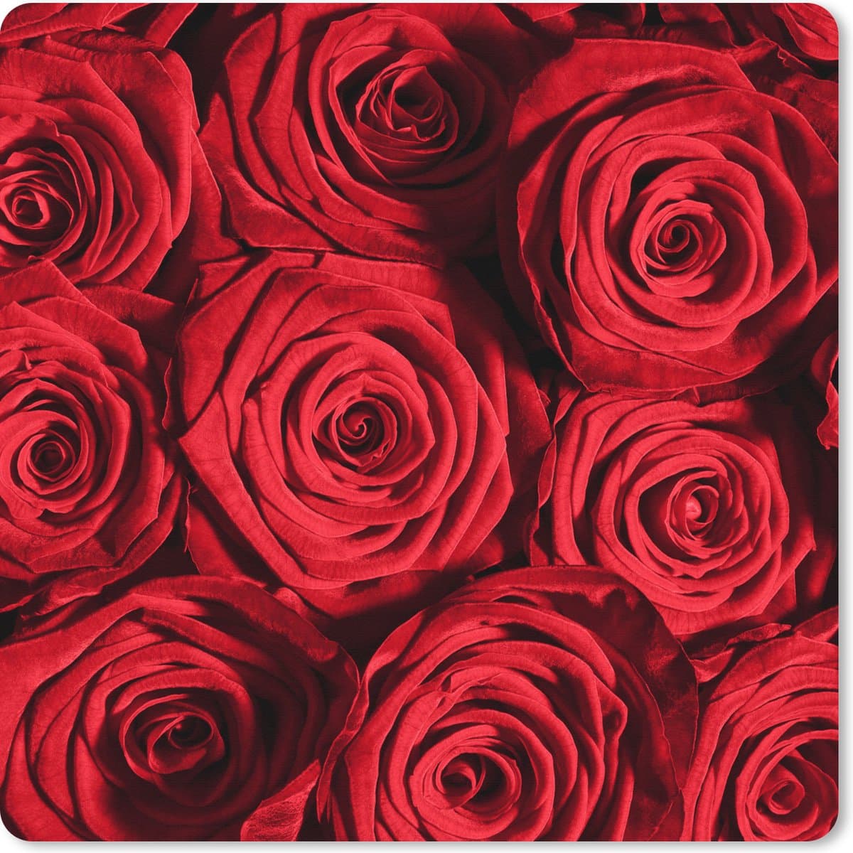 Muismat XXL 60x60 cm - Bureau onderlegger - Bureau mat Rozen - Roos - Rood - Bureaumat - Gaming mousepad xl - Bureaulegger groot - Computer deskmat