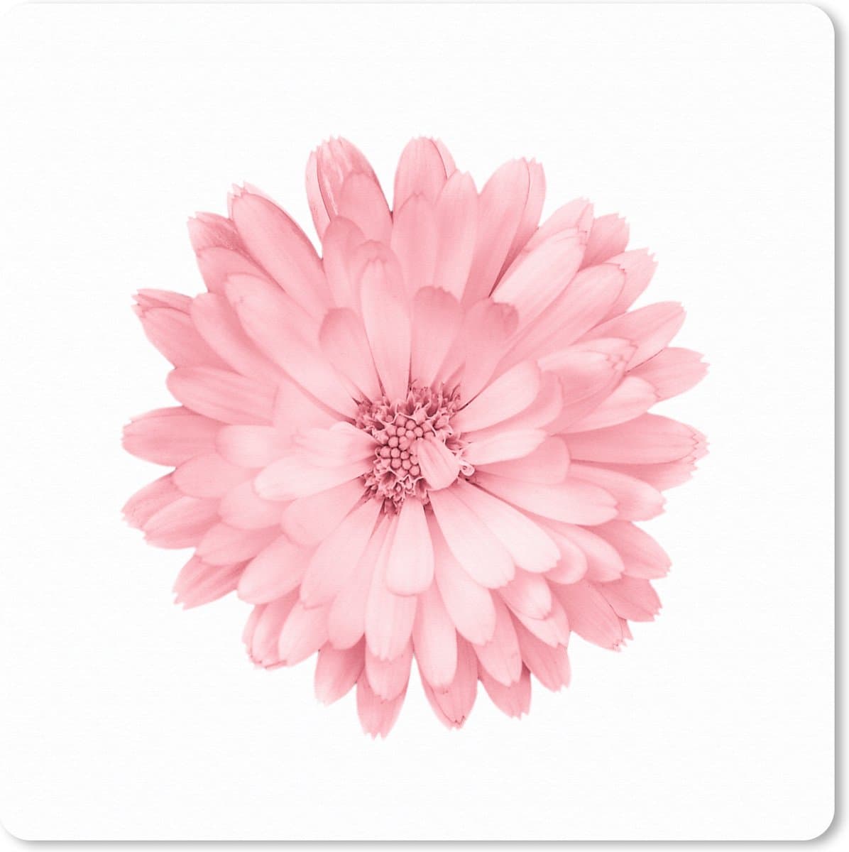 Muismat XXL 40x40 cm - Bureau onderlegger - Bureau mat Bloemen - Roze - Kamille - Bureaumat - Gaming mousepad xl - Bureaulegger groot - Computer deskmat
