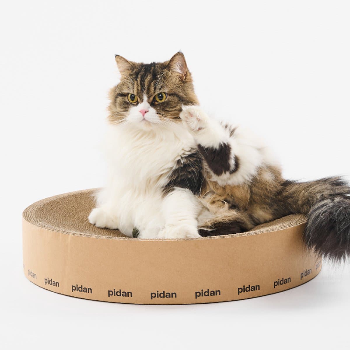 pidan Ronde Krabmand voor Katten – Krabplank en Kattenmand in 1 – Stevig Golfkarton – Ø 49,5 cm – Bruin