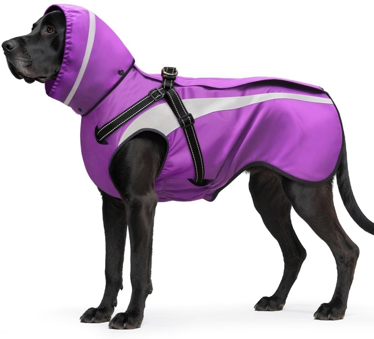 Omgoods - Waterdichte Hondenregenjas voor Kleine en Grote Honden