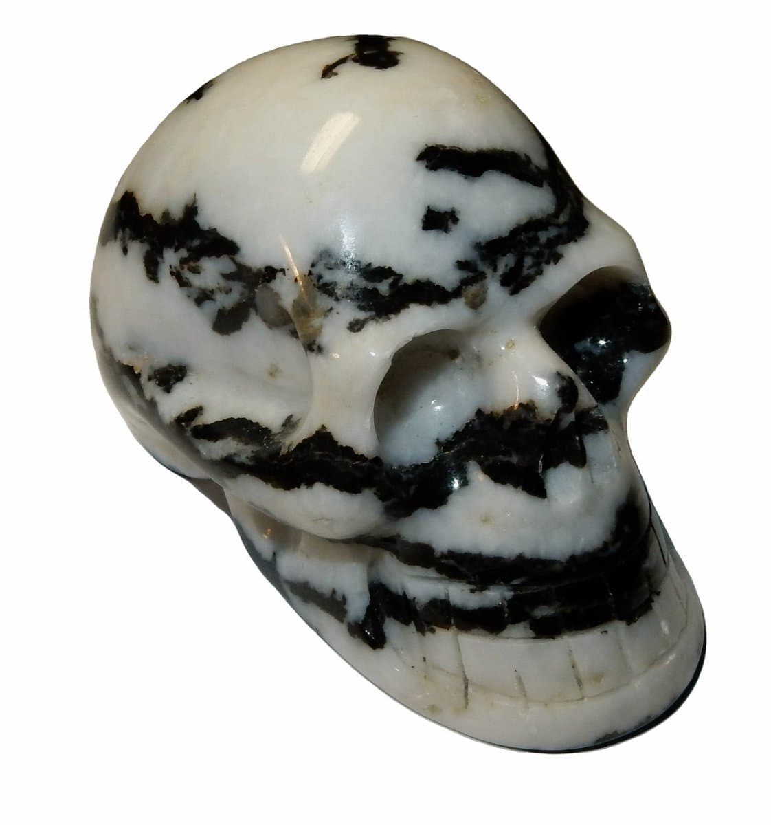 Schedel van Natuurlijke Jaspis Zebra