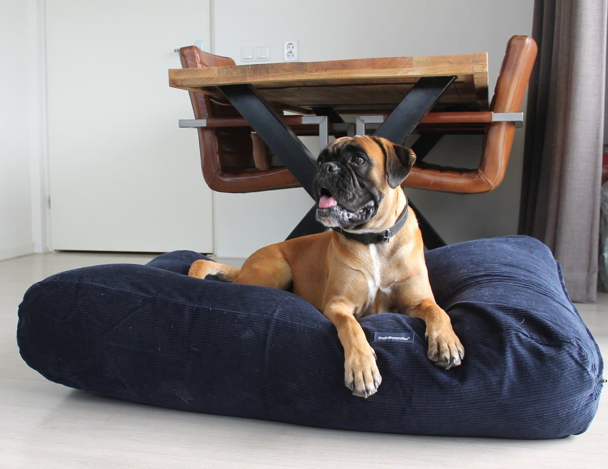Dog's Companion Hondenkussen / Hondenbed - XS - 55 x 45 cm - Donkerblauw Ribcord