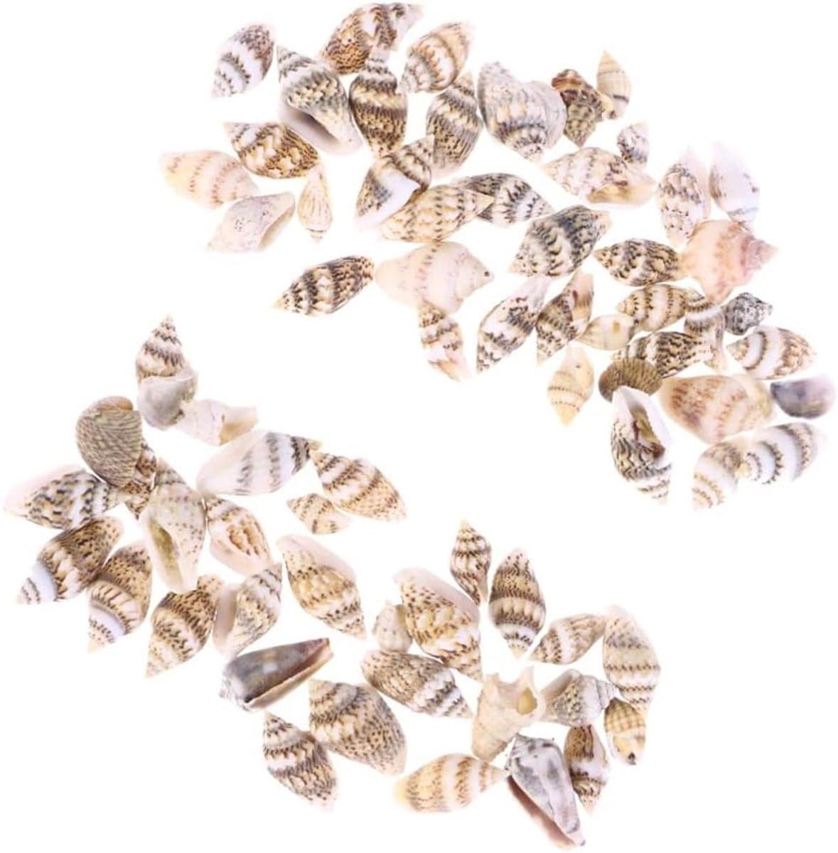 Natuurlijke Schelpen - Decoratie Schelpen - Huis Decoreren - Veelzijdige Ambachten - 50 Stuks - Zoals Getoond