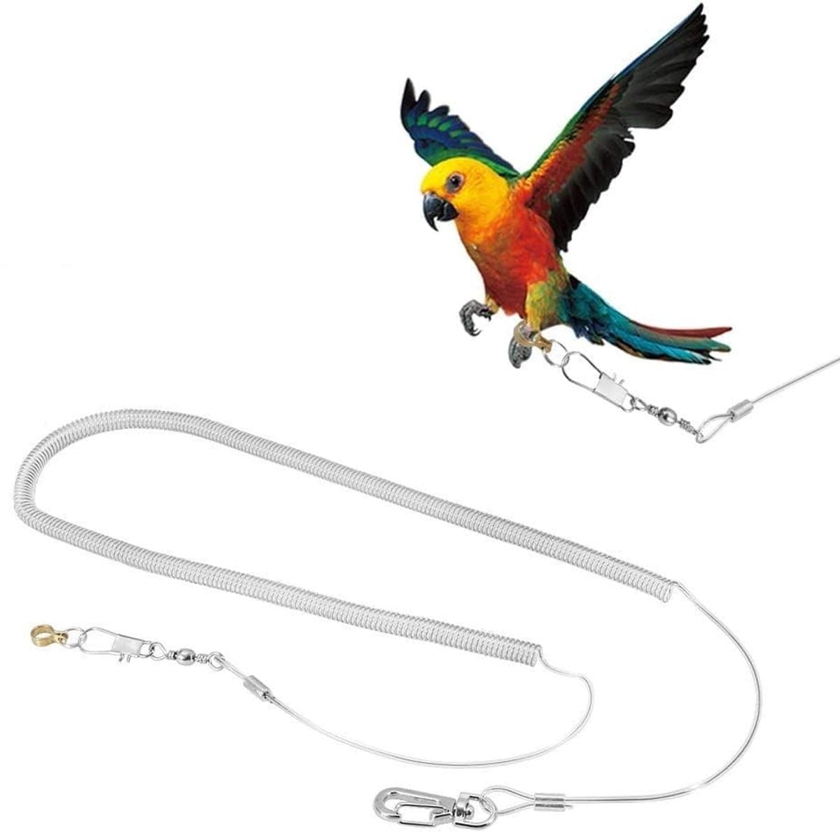 Dailygoods- Vliegkoord 6m - Vogel Harnas - Kunststof - Verstelbaar - Lichtgewicht - Antibijtend Materiaal - Vogelharnas