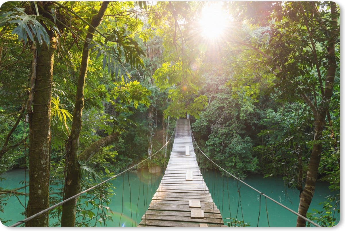 Muismat XXL 120x80 cm - Bureau onderlegger - Bureau mat Jungle - Water - Brug - Natuur - Planten - Bureaumat - Gaming mousepad xl - Bureaulegger groot - Computer deskmat