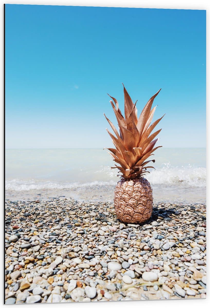 Dibond - Ananas op Kiezelstenen - 60x90 cm Foto op Aluminium (Met Ophangsysteem)