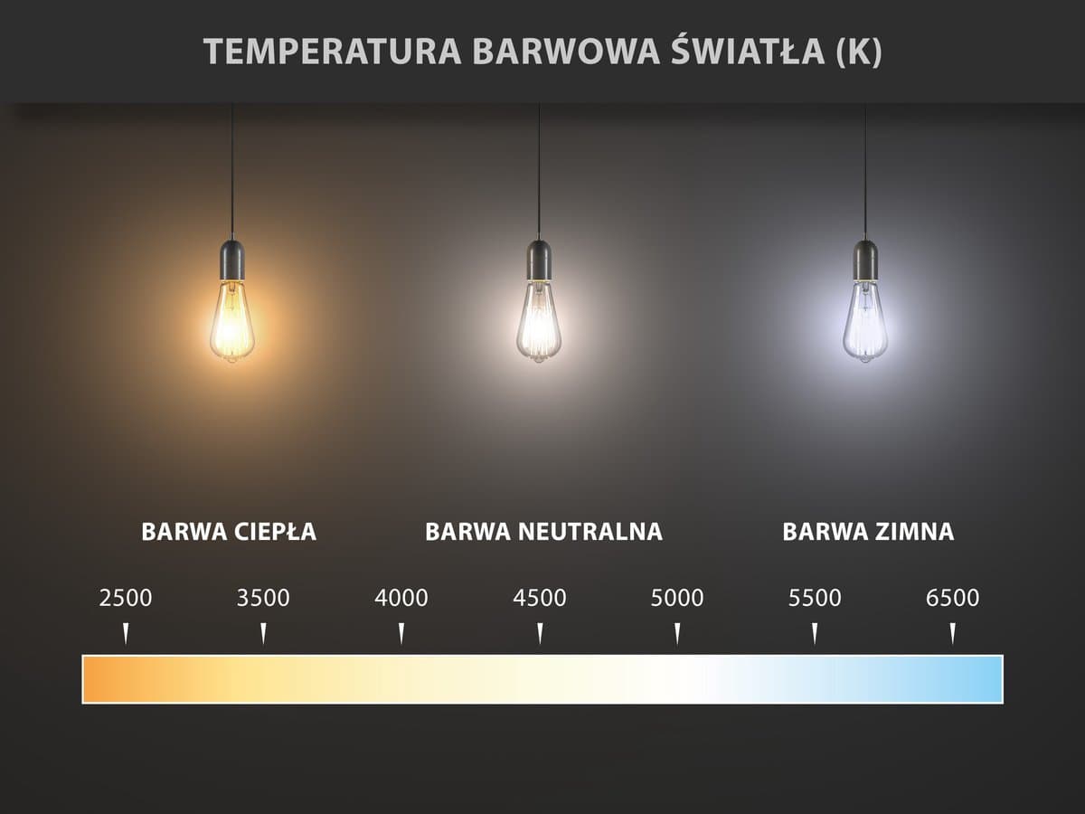 Mexen Vintis 6x LED Filament Spiral Lamp E27, G80, 8W, Warm - 2200K, 600 lm, amber - L165-E27-0822-50x06