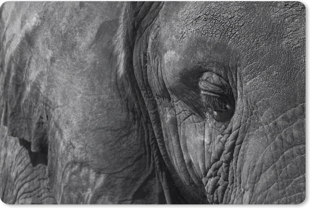 Muismat XXL 120x80 cm - Bureau onderlegger - Bureau mat Olifant - Dieren - Close up - Zwart wit - Bureaumat - Gaming mousepad xl - Bureaulegger groot - Computer deskmat