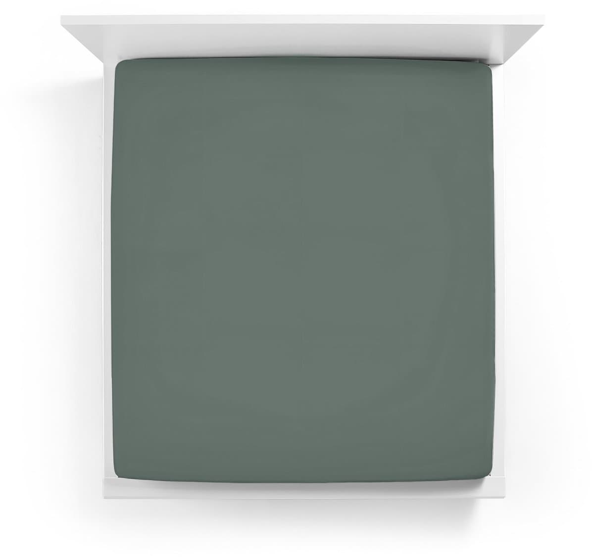 Hoeslaken Bella Donna Jersey 120-130x200-220 cm (vintage groen 0635)