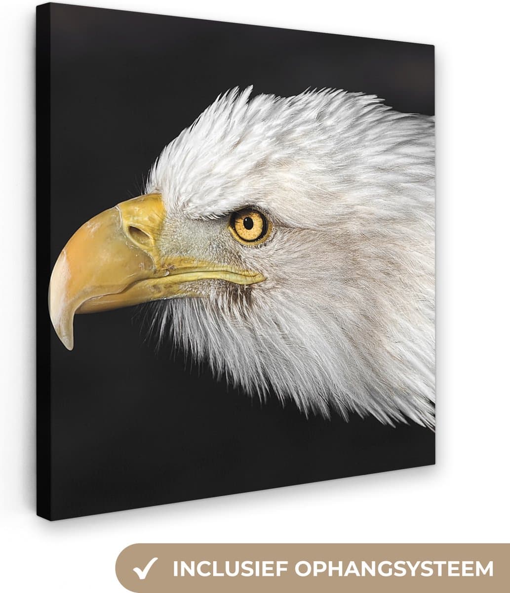 Canvas schilderij 50x50 cm - Wanddecoratie Adelaar - Vogel - Snavel - Ogen - Muurdecoratie woonkamer - Slaapkamer decoratie - Kamer accessoires - Schilderijen op canvas