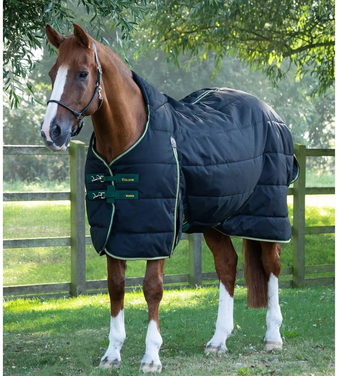 Paardendeken Premier Equine Lucanta 450 g