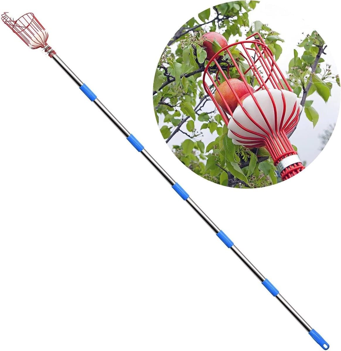 Fruitplukker met mand - Oogstgereedschap - Fruit verzamelen - Lichtgewicht roestvrij staal - 3.6 meter bereik - Zilverkleurig