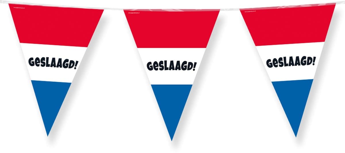 Geslaagd vlaggenlijn - Rood/Wit/Blauw stijl - 10 meter - 15 vlaggetjes - Diploma versiering