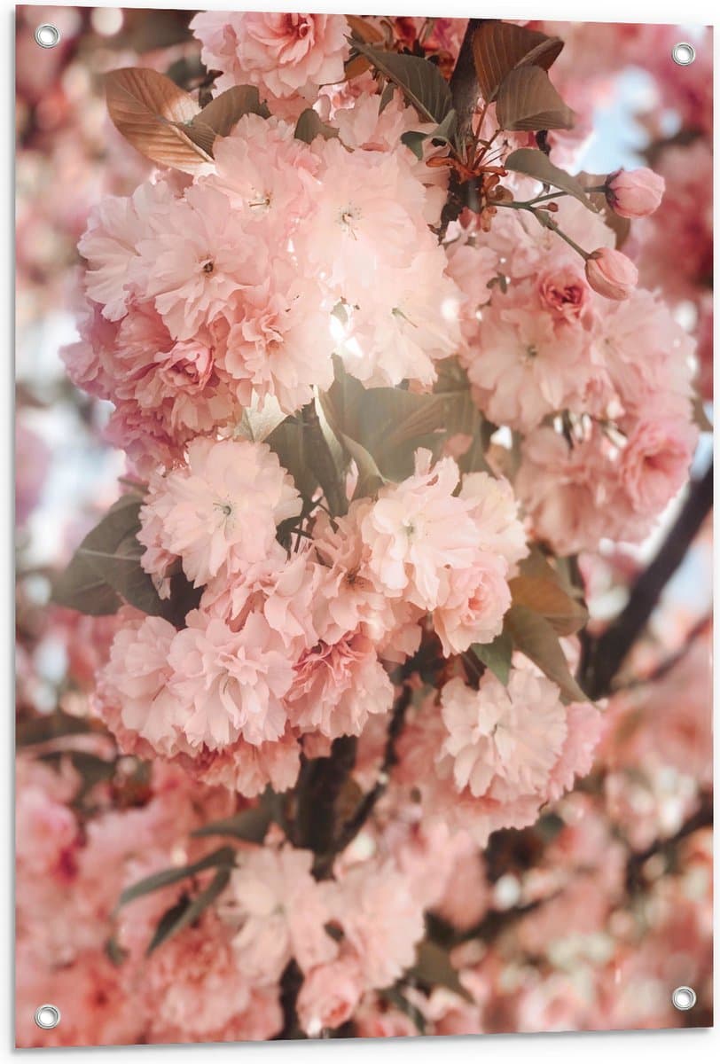 Tuinposter – Bloemen - Planten - Takken - Natuur - Boom - 60x80 cm Foto op Tuinposter (wanddecoratie voor buiten en binnen)