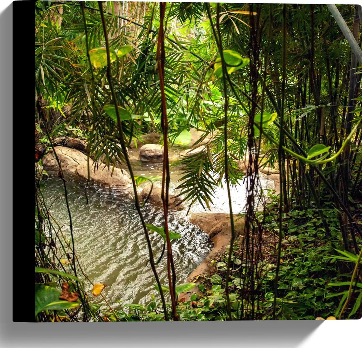 Canvas - Planten - Water - Tropisch - Bomen - Groen - 30x30 cm Foto op Canvas Schilderij (Wanddecoratie op Canvas)