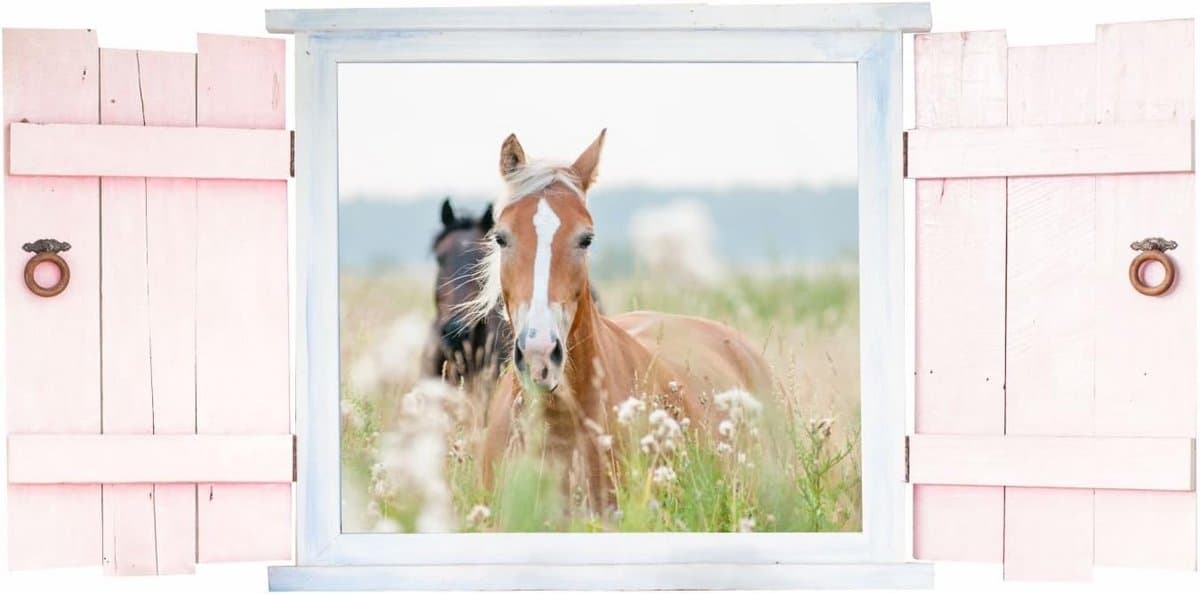 Paarden in Raam Muursticker voor Kinderkamer - Keuze uit 6 Maten - Wanddecoratie Jongen en Meisje