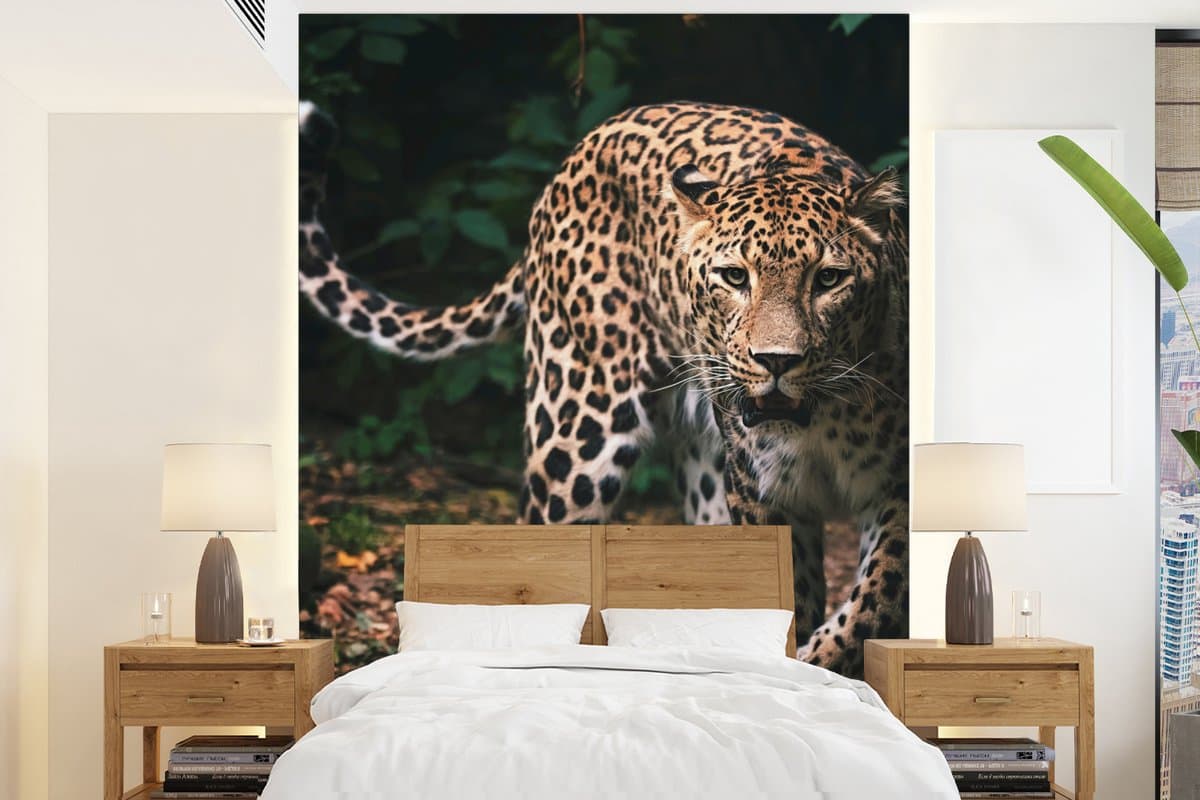 Behang - Fotobehang Wilde dieren - Luipaard - Jungle - Natuur - Breedte 205 cm x hoogte 280 cm
