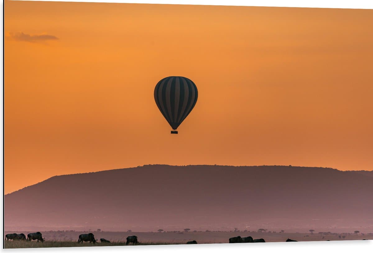 Dibond - Blauw met Witte Luchtballon boven Veld vol Bizons - 105x70 cm Foto op Aluminium (Met Ophangsysteem)