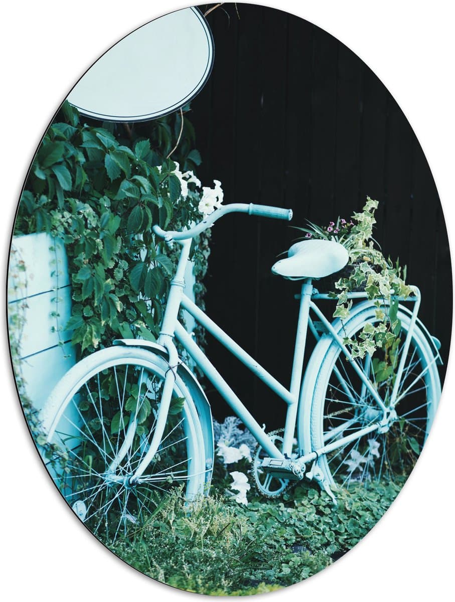 Dibond Ovaal - Begroeide Geparkeerde Fiets - 72x96 cm Foto op Ovaal (Met Ophangsysteem)