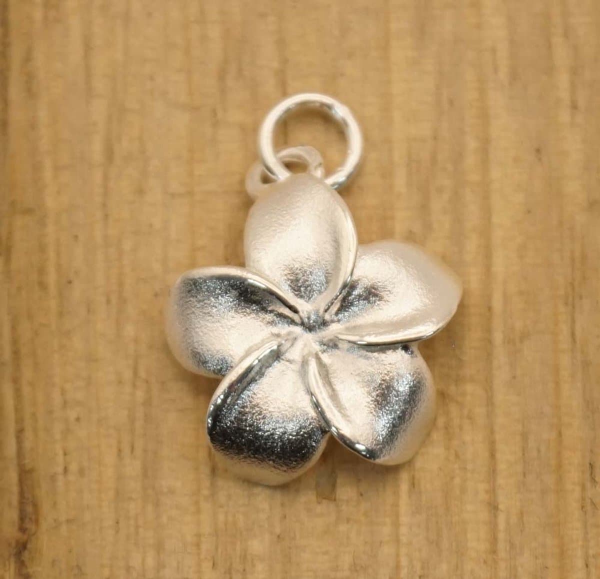Leuke zilveren hanger voor aan ketting van een bloem - sterling zilveren hangertje van bloeiende bloem- zilveren hangers kleine bloem- pendant flower silver - bloemen hangers van zilver - sierlijke hangers - zilveren vrouwelijke hangers