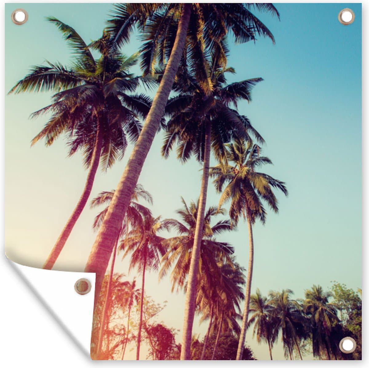 Tuinschilderij - Palmboom - Tuin - Natuur - Zonsondergang - 50x50 cm - Schuttingdoek - Tuindoek