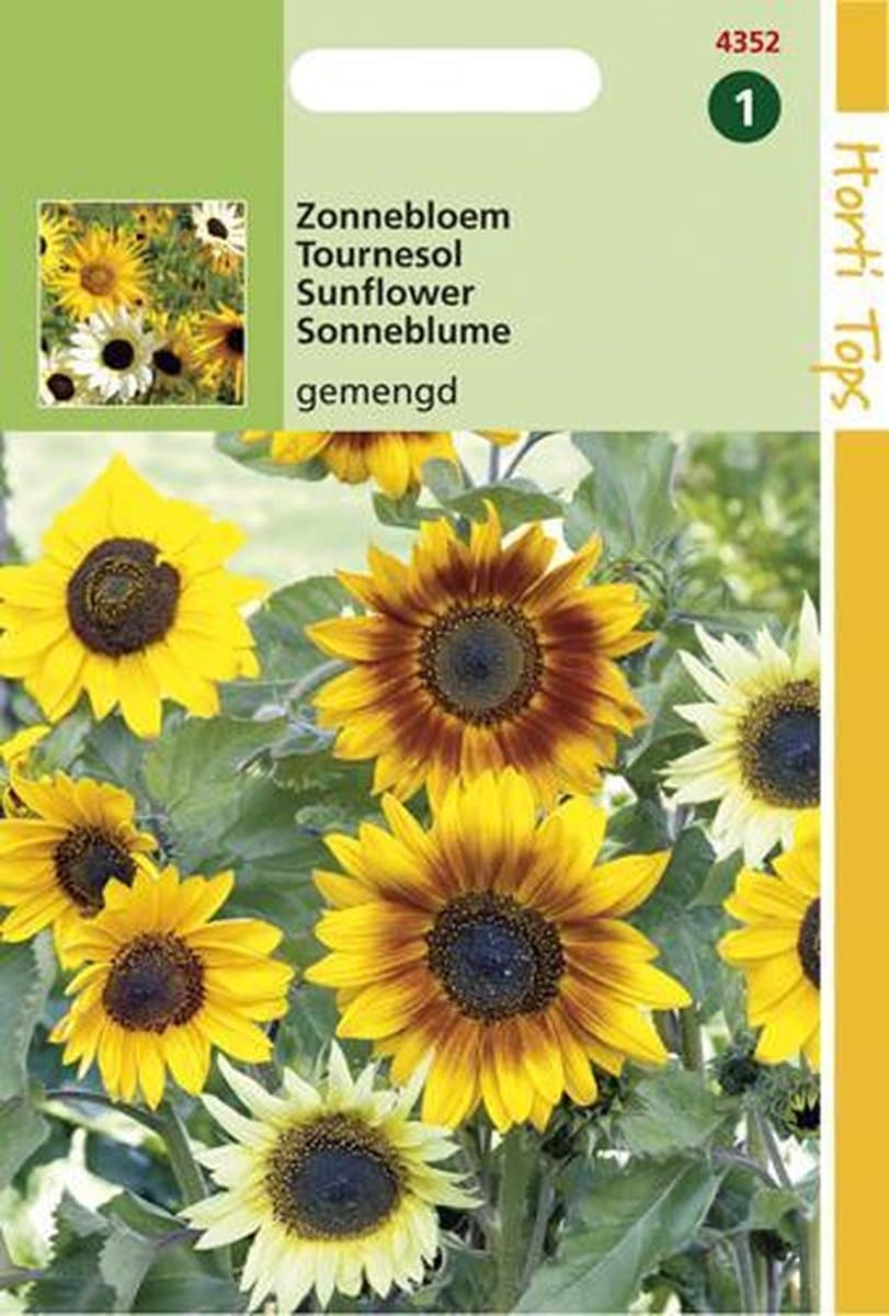 Hortitops Zaden - Helianthus cucumerifolius gemengd
