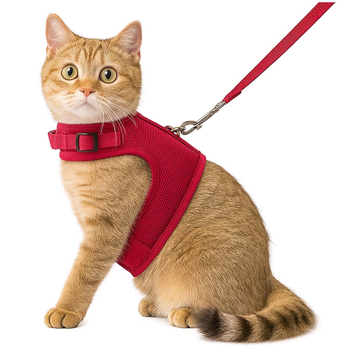 Zootic kattentuigje met looplijn - Kattenharnas rood maat S - Hals 14-18cm & Borst 24-28cm