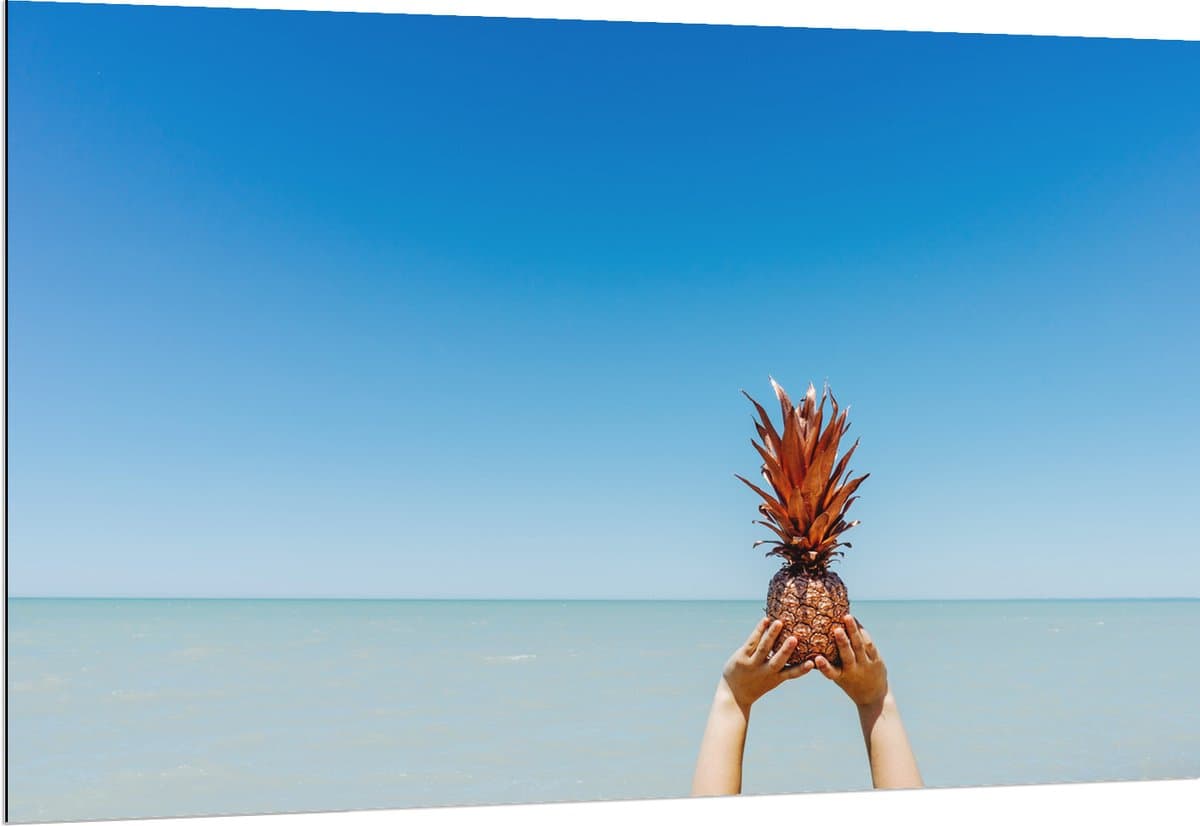Dibond - Ananas boven de Zee - 150x100 cm Foto op Aluminium (Met Ophangsysteem)