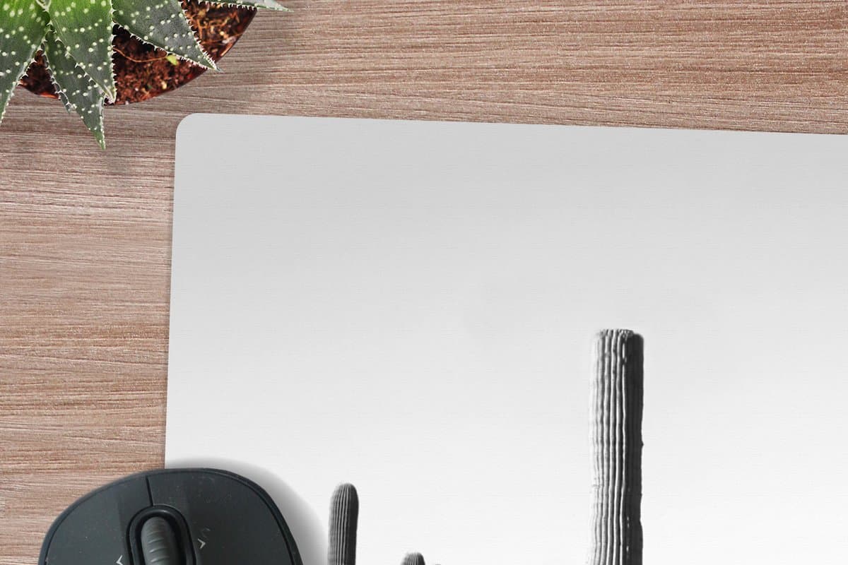 Muismat XXL 80x60 cm - Bureau onderlegger - Bureau mat Cactussen - Zwart wit - Natuur - Landschap - Bureaumat - Gaming mousepad xl - Bureaulegger groot - Computer deskmat