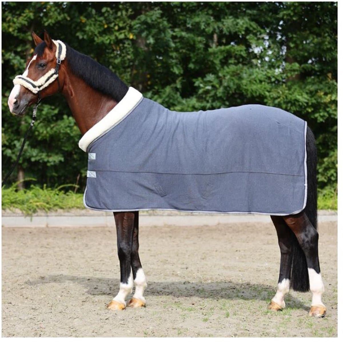 Stal- of transportdeken voor paarden Kavalkade Elegance