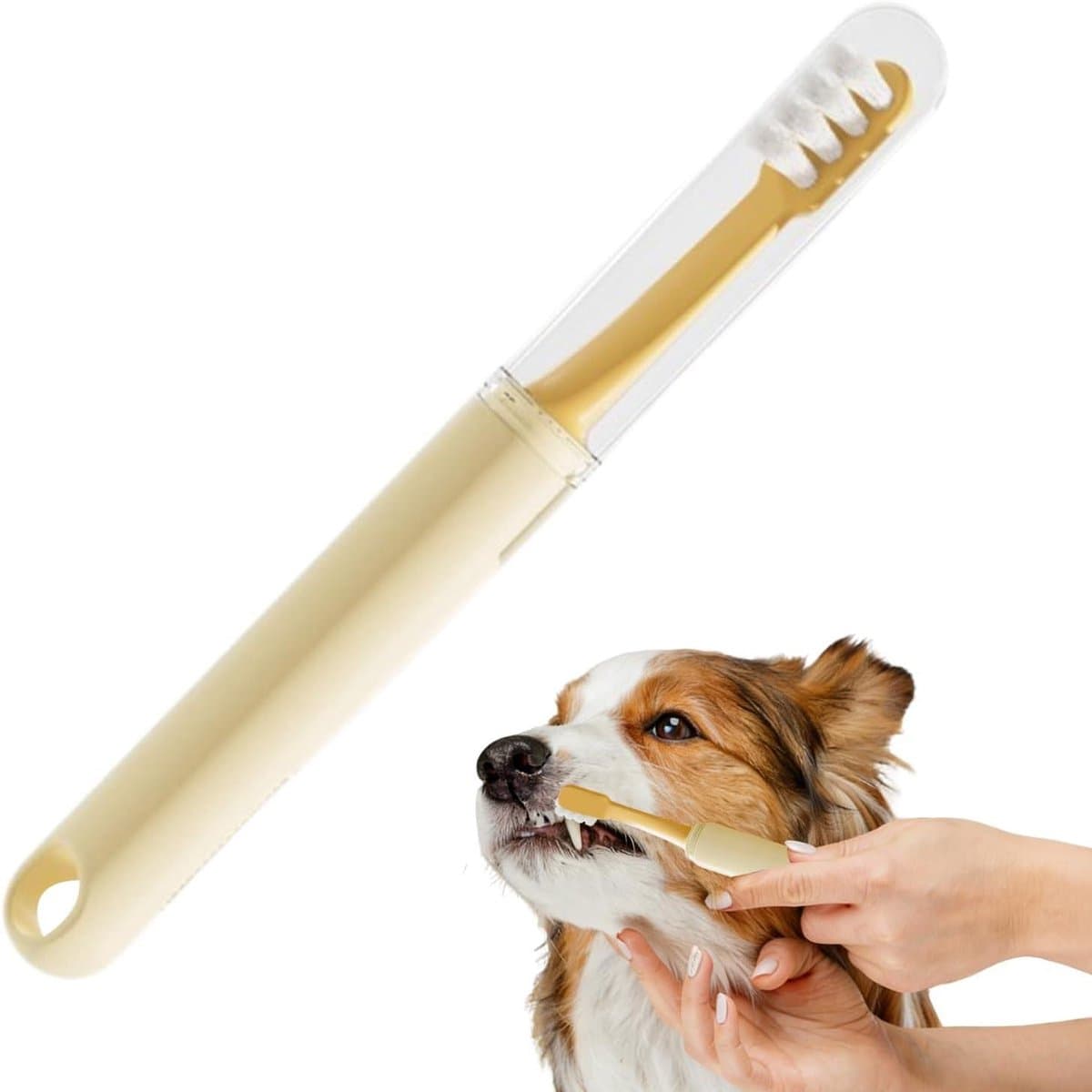 Huisdier Tandenborstel - Hond Kat - Dagelijkse Verzorging - Dubbele Kop Ontwerp - 18 cm - Beige
