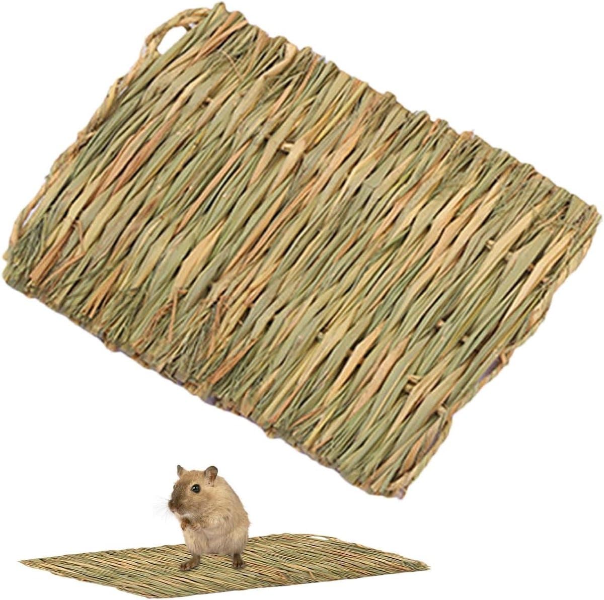 Kattenkrabmat Grasmat - Natuurlijk Kussen - Spelen en Rusten - Ademende Comfortlaag - 28x40 cm - Meerkleurig