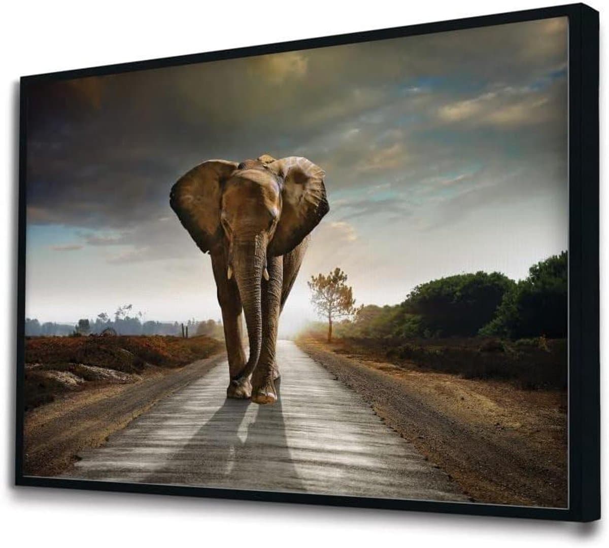 Akoestische panelen - Geluidsisolatie panelen - Geluidsverbetering thuis - Met olifant design - 130x90 cm - Wit