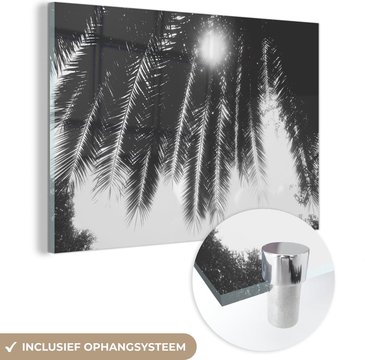 MuchoWow® Glasschilderij 180x120 cm - Schilderij acrylglas - Palmbladeren - Tropisch - Zon - Palmboom - Foto op glas - Schilderijen