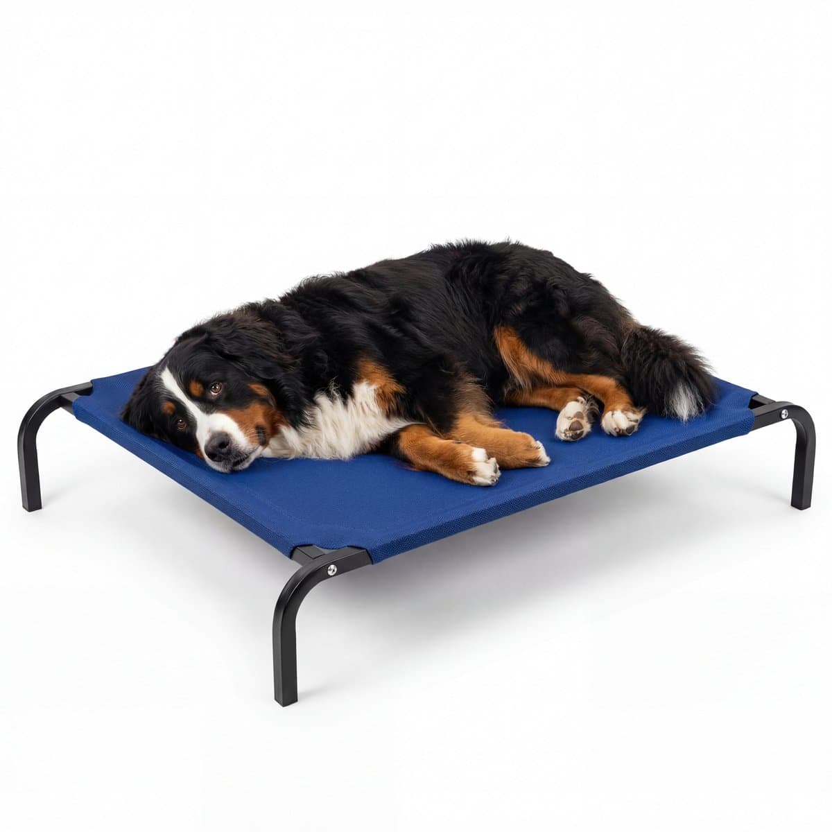 JAXY Hondenbed - Hondenstretcher Binnen & Buiten - Honden Ligbed Orthopedisch - Hondenbed Op Pootjes - Maat XL - Blauw
